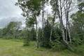 30 Schieman Bay  3.99 acres, Grand Marais (6 of 8) / click on image for larger view