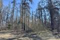 110051 Lakeshore Rd   1.65 acres, Belair (10 of 10) / click on image for larger view