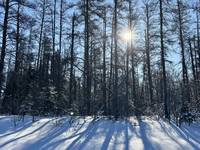 110051 Lakeshore Rd   1.65 acres