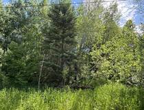 6 Irving Drive