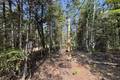 16 Evergreen Rd   LARGE .51 acre lot, Victoria Beach (6 of 23) / click on image for larger view