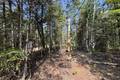 16 Evergreen Rd   LARGE .51 acre lot, Victoria Beach (12 of 16) / click on image for larger view