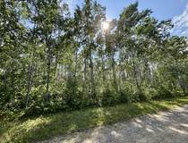 Lot 7 Turcotte Dr., Traverse Bay