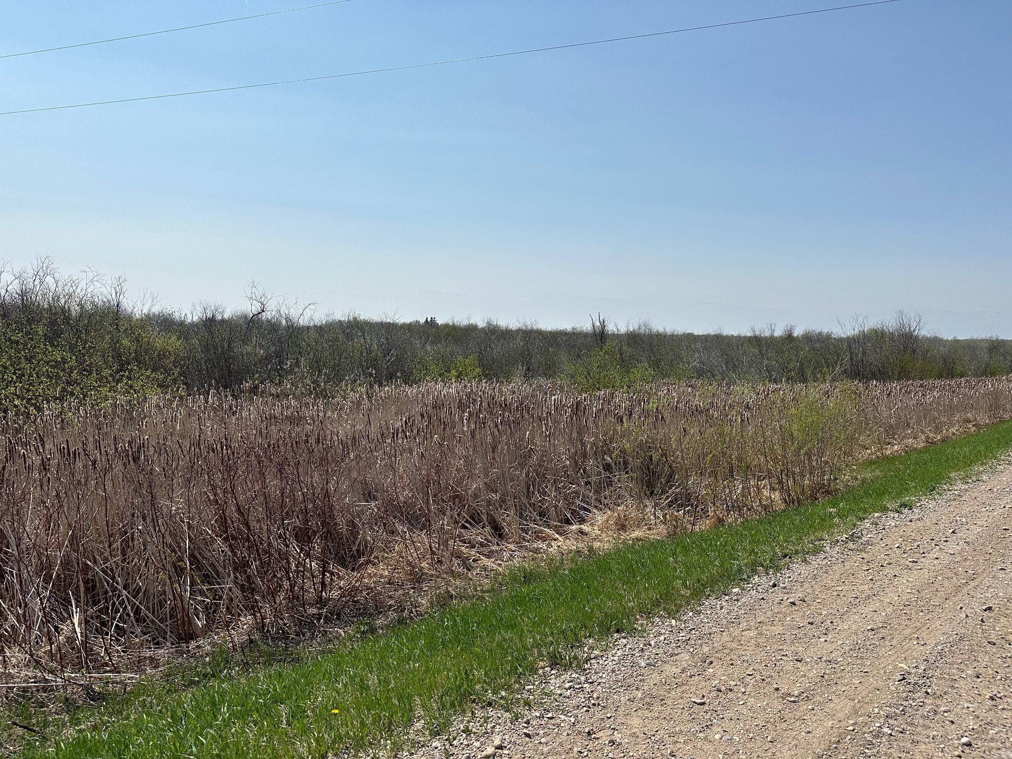 Real Estate Listings for Lake Winnipeg, Manitoba, Canada Ateah Realty